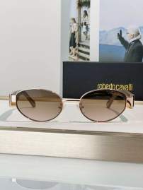 Picture of Roberto Cavalli Sunglasses _SKUfw74777624fw